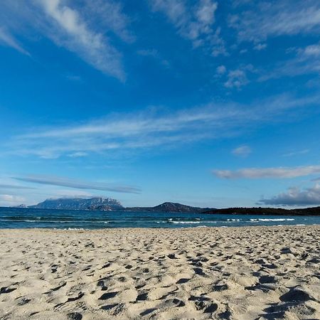 Casa Vacanze Lo Squalo Olbia Buitenkant foto