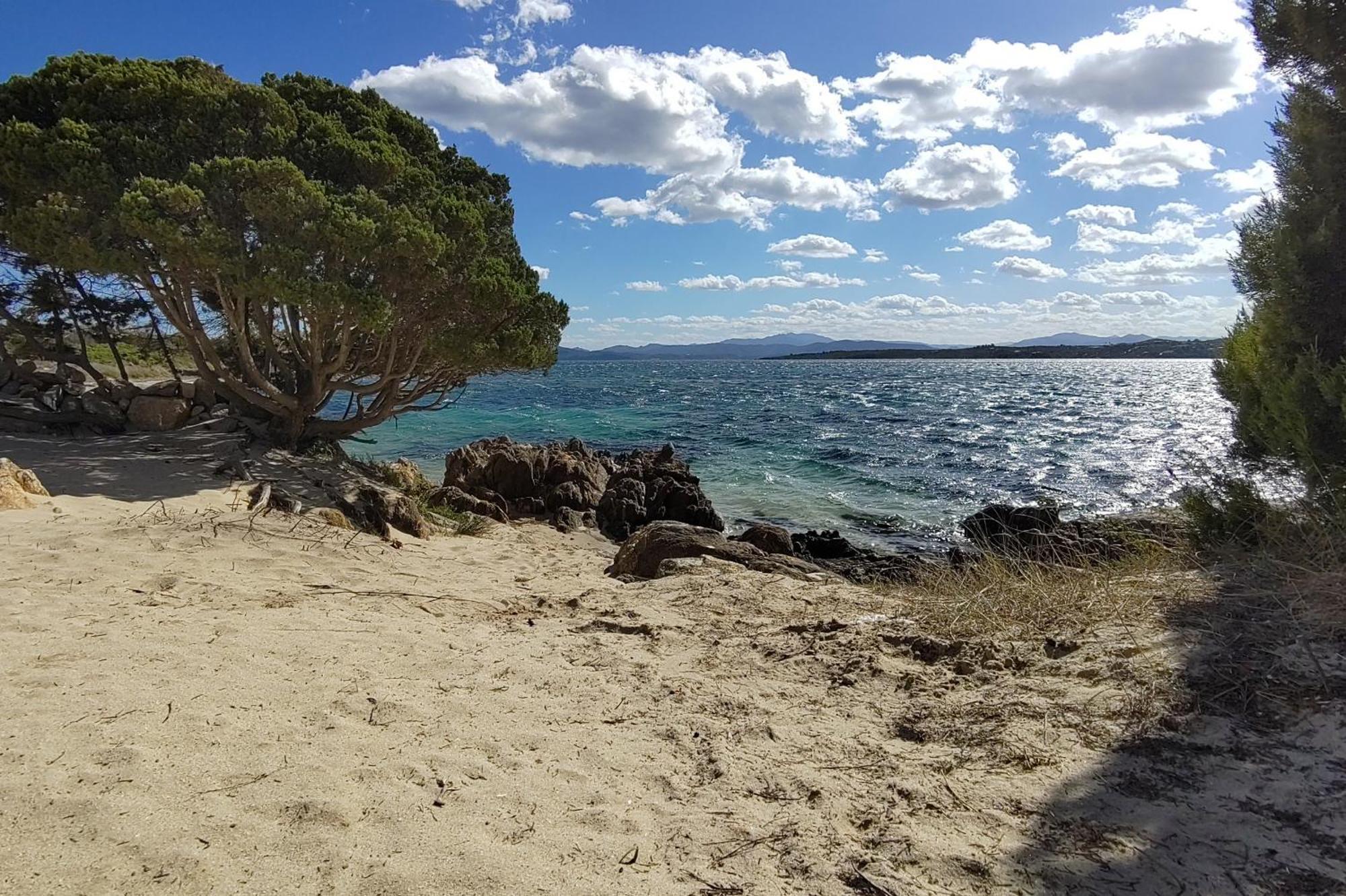 Casa Vacanze Lo Squalo Olbia Buitenkant foto